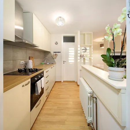 Apartment Studio Drvenija