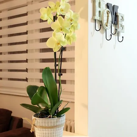 Apartment Studio Drvenija Sarajevo