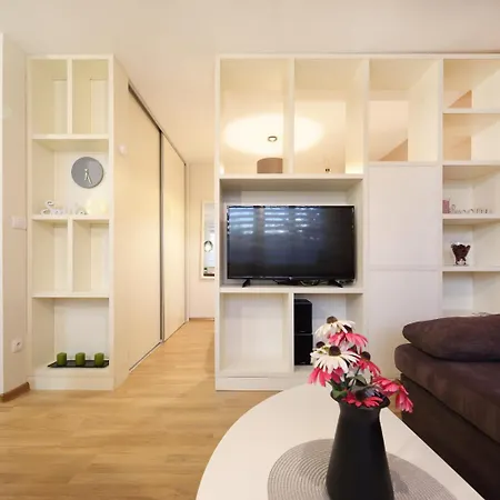 Apartment Studio Drvenija